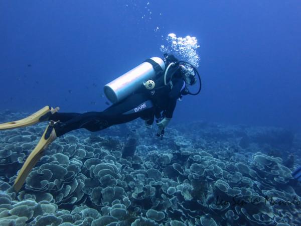 示范区2024年防范非法集资百日宣传活动启动